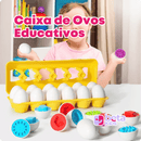 Caixa de Ovos Educativos